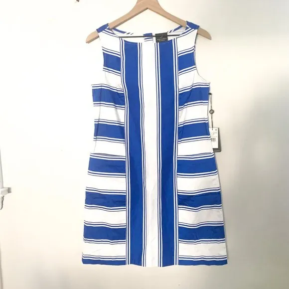 Adrianna Papell Women's Blue Stripe Print Cotton Dress