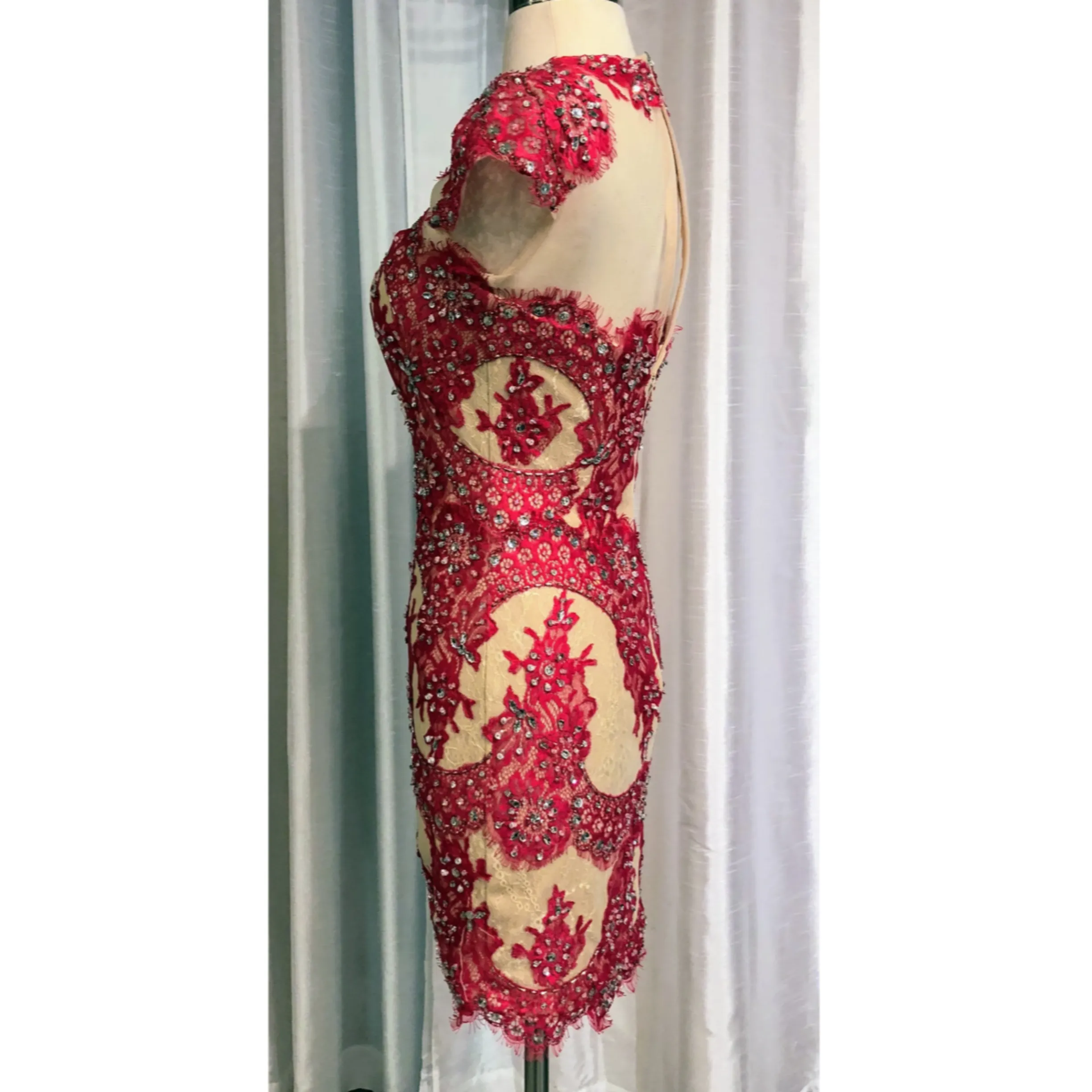 ANGELA & ALISON Fuchsia & Nude Lace Sheer Sheath Dress Size 4