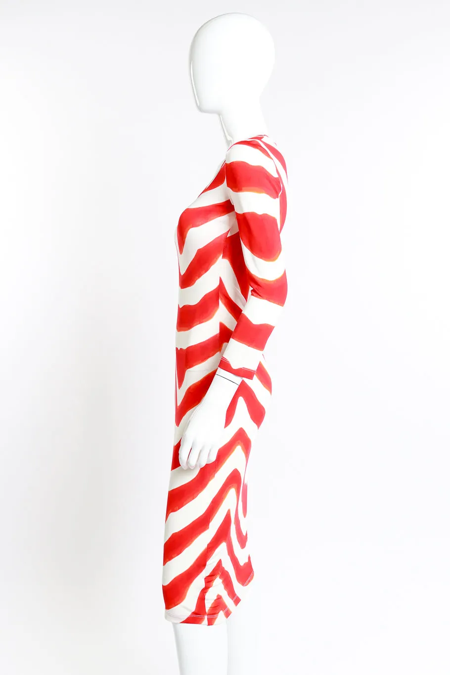 Animal Stripe Sheath Dress