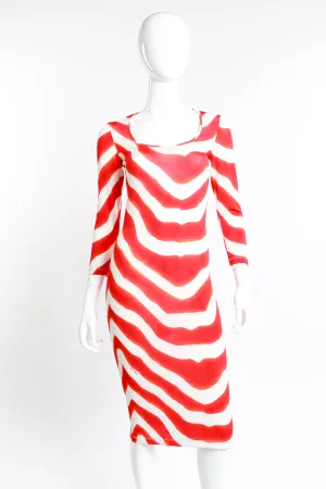 Animal Stripe Sheath Dress