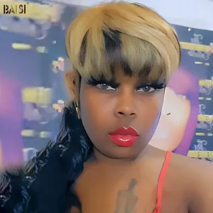 BAISI Carla Mullet Glueless Wig