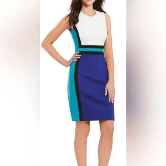 Calvin Klein Women's Sleeveless Color Block Sheath Dress size 8