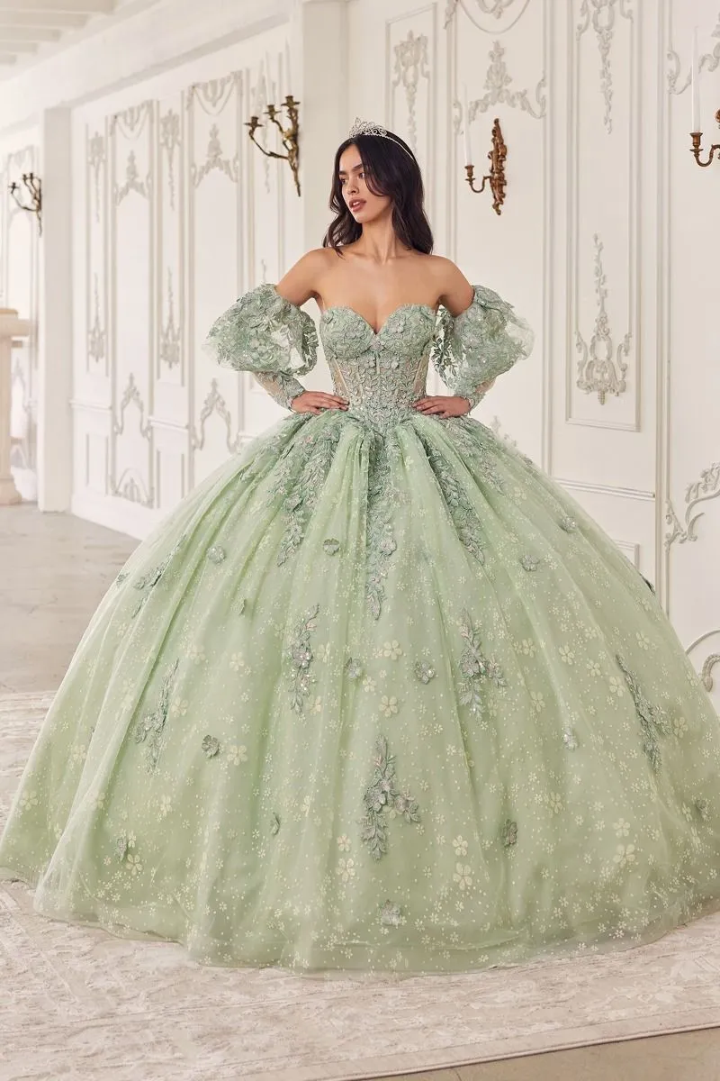 Cinderella Divine- 15722