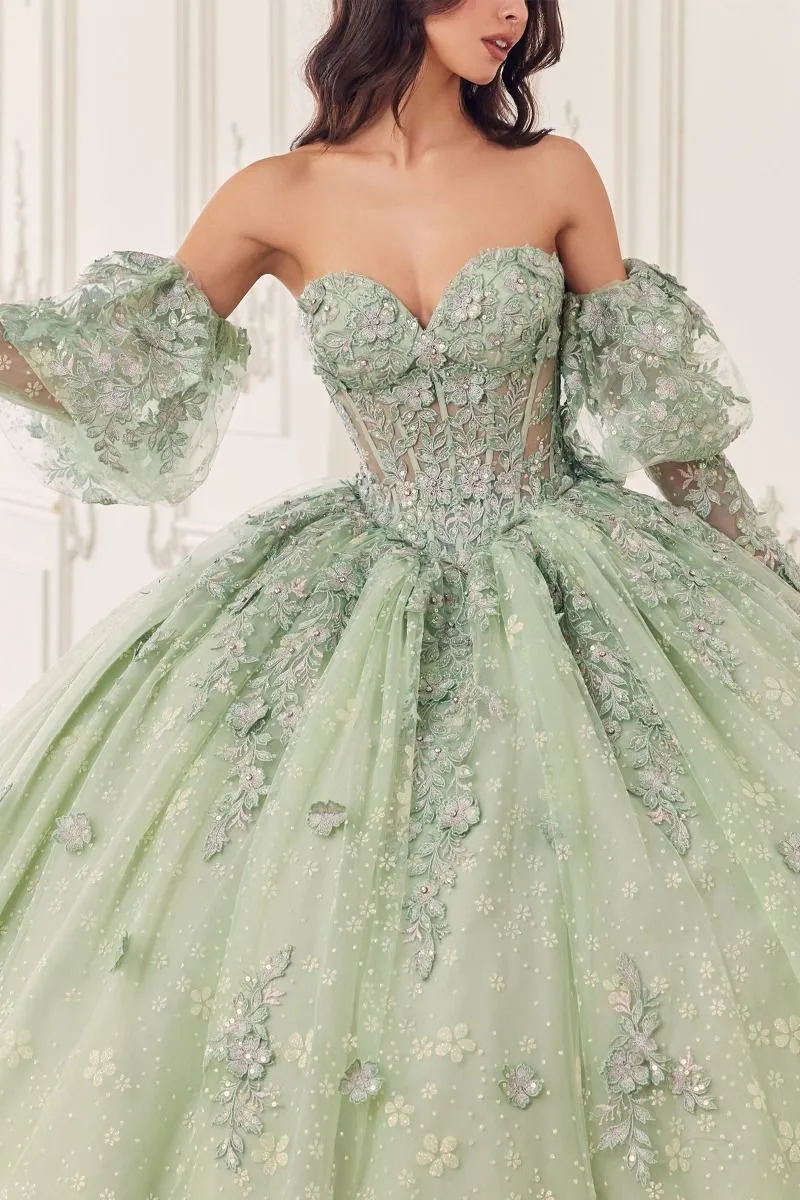 Cinderella Divine- 15722