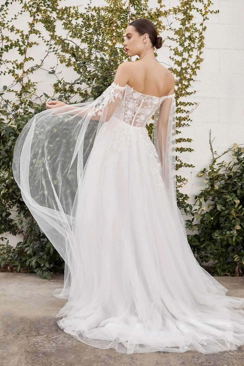Cinderella Evening Dress A1080W