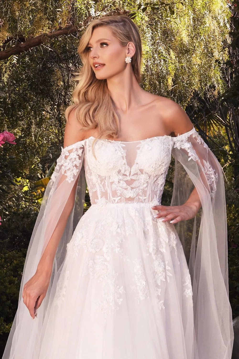 Cinderella Evening Dress A1080W