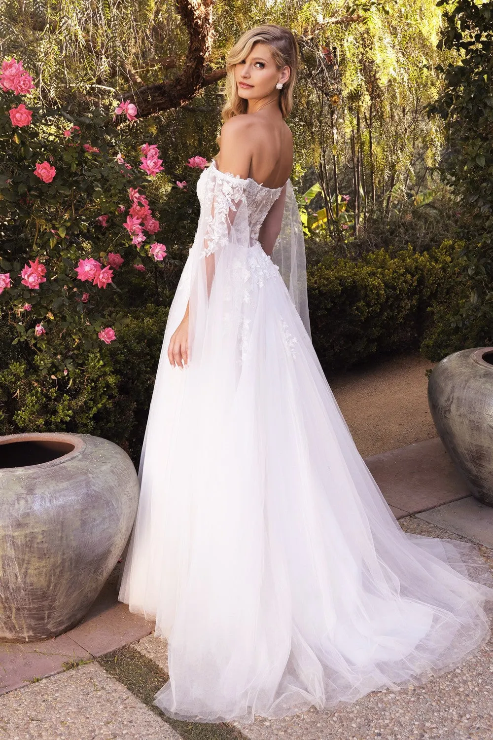 Cinderella Evening Dress A1080W