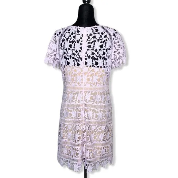 Eliza J Cap Sleeve Lilac Lace Overlay Sheath Dress NWT size 14P
