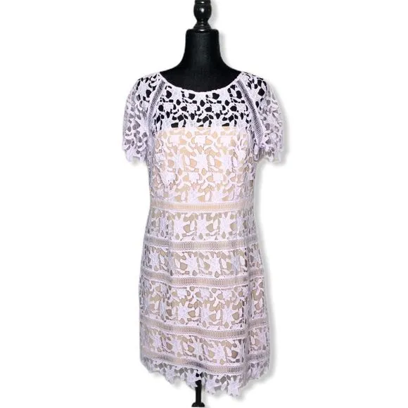 Eliza J Cap Sleeve Lilac Lace Overlay Sheath Dress NWT size 14P