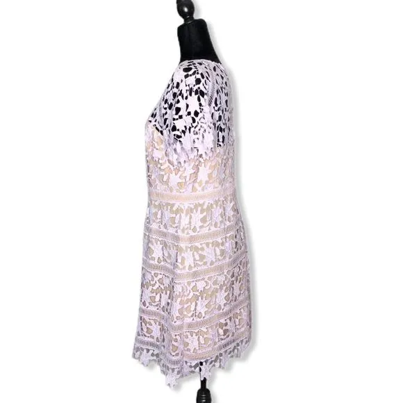 Eliza J Cap Sleeve Lilac Lace Overlay Sheath Dress NWT size 14P