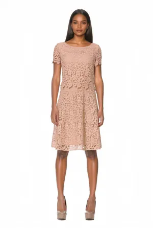 Fit & Flare Popover Lace Dress in Champagne