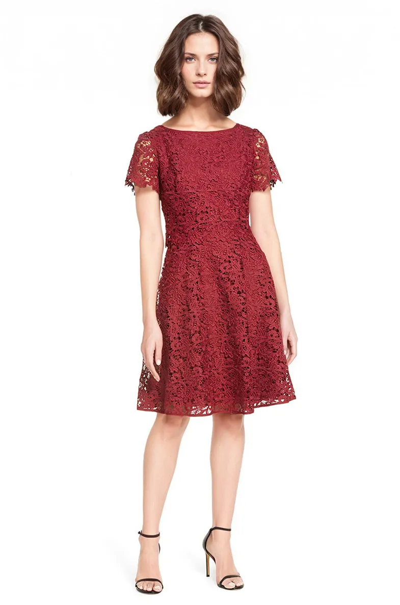Fit & Flare Popover Lace Dress in Wine