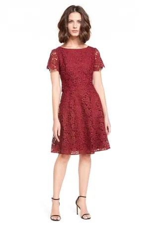 Fit & Flare Popover Lace Dress in Wine