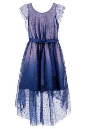 Fit & Flare Sparkle Mesh Dress