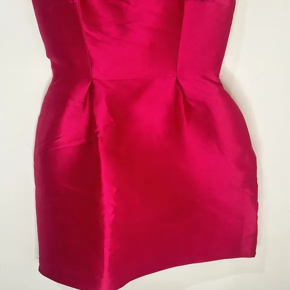 KATE SPADE Hot Pink and Black Fit and Flare Flirty Back Mini Dress Size 4