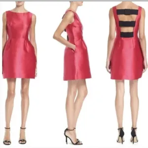 KATE SPADE Hot Pink and Black Fit and Flare Flirty Back Mini Dress Size 4