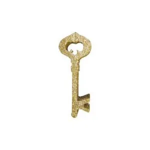 Key (EPS Foam Cutout)