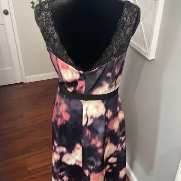 Lovely by Adrianna Papell Sleeveless Lace Trimmed Sheath Dress