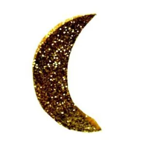 Moon (EPS Foam Cutout)