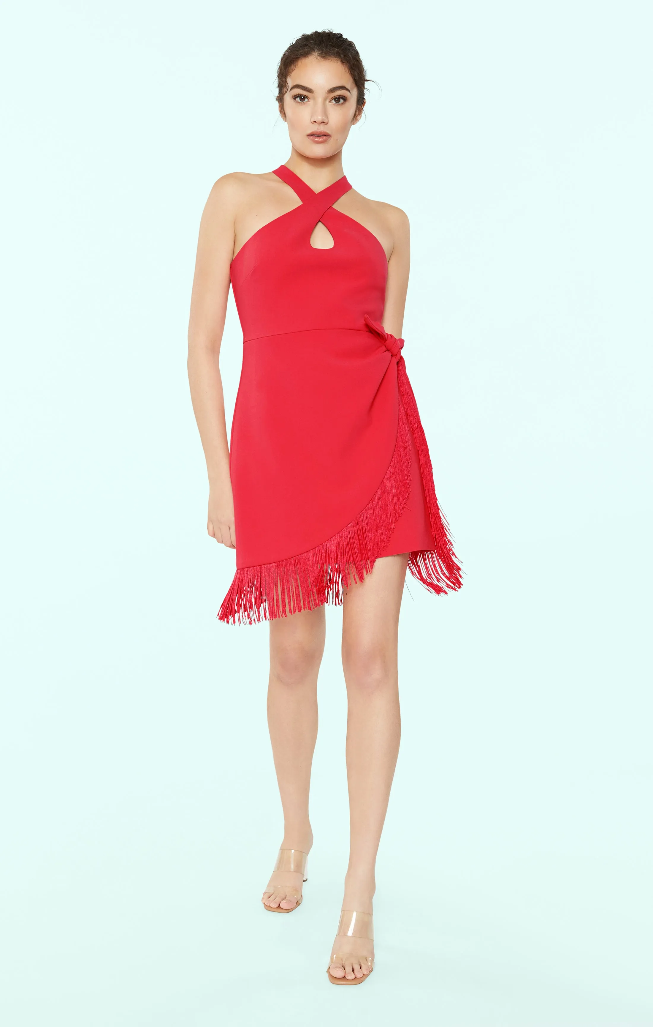 Portrait Dress