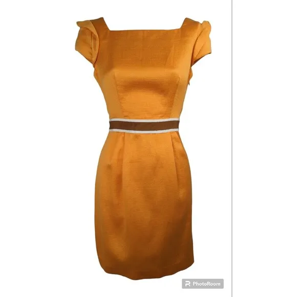PORTS 1961 orange Silk Sheath Dress Striped Belt Pleated Cap Sleeve Resort S 4