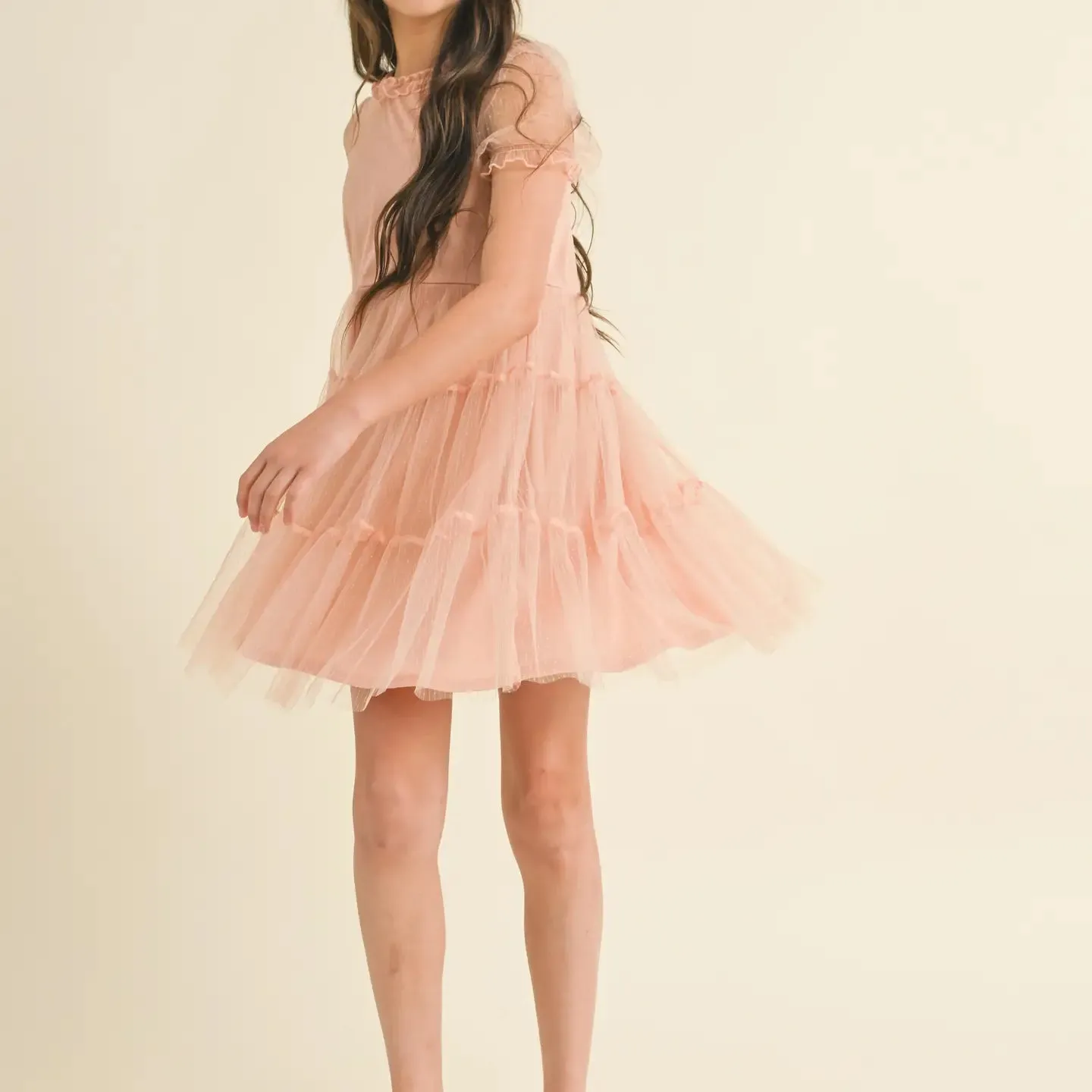 Puff Sleeve Tiered Mesh Dress