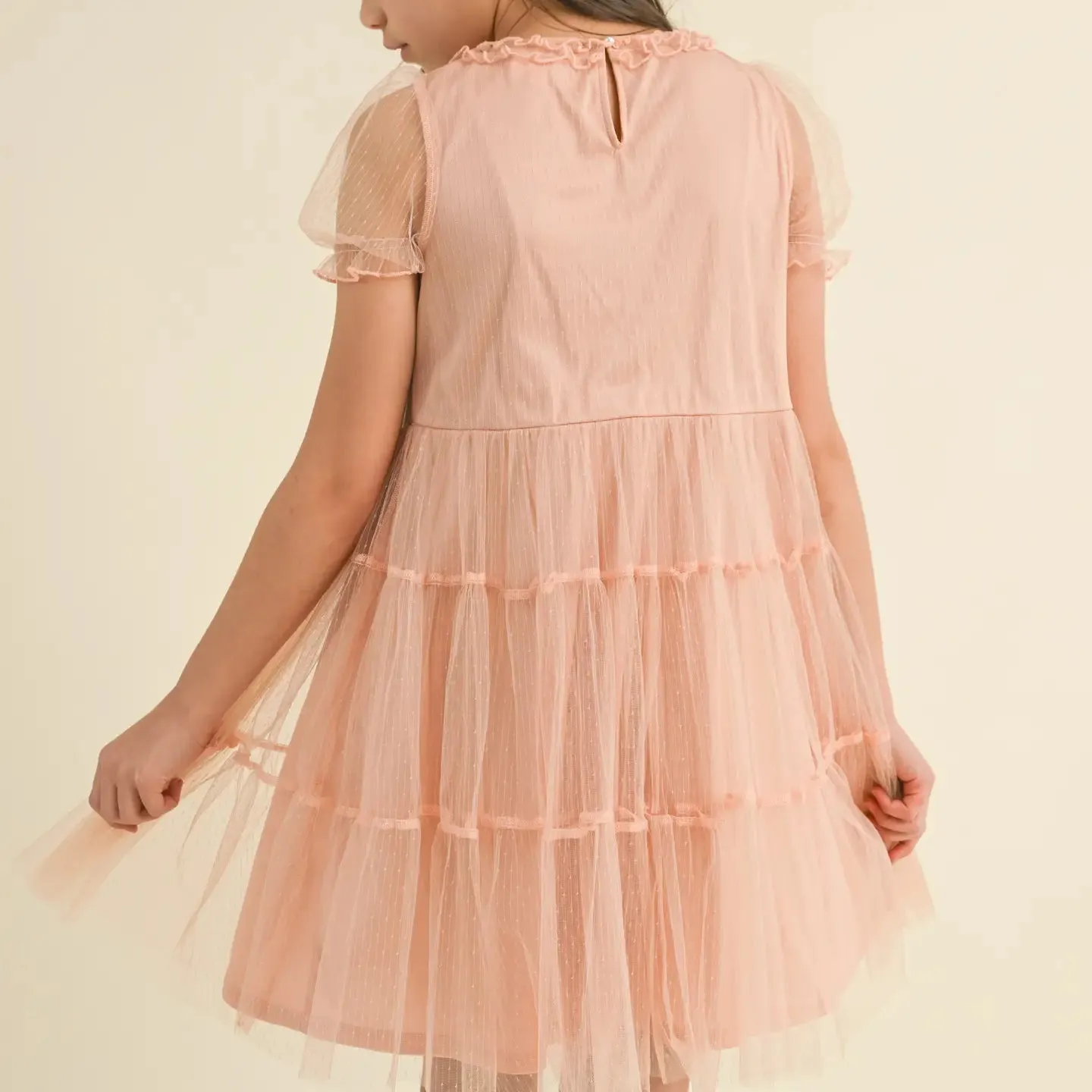 Puff Sleeve Tiered Mesh Dress