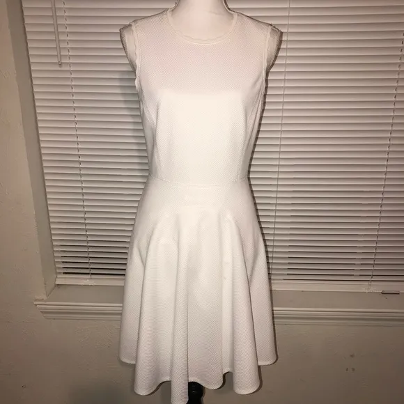 Rebecca Taylor Textured Milk Fit and Flare Dress 6