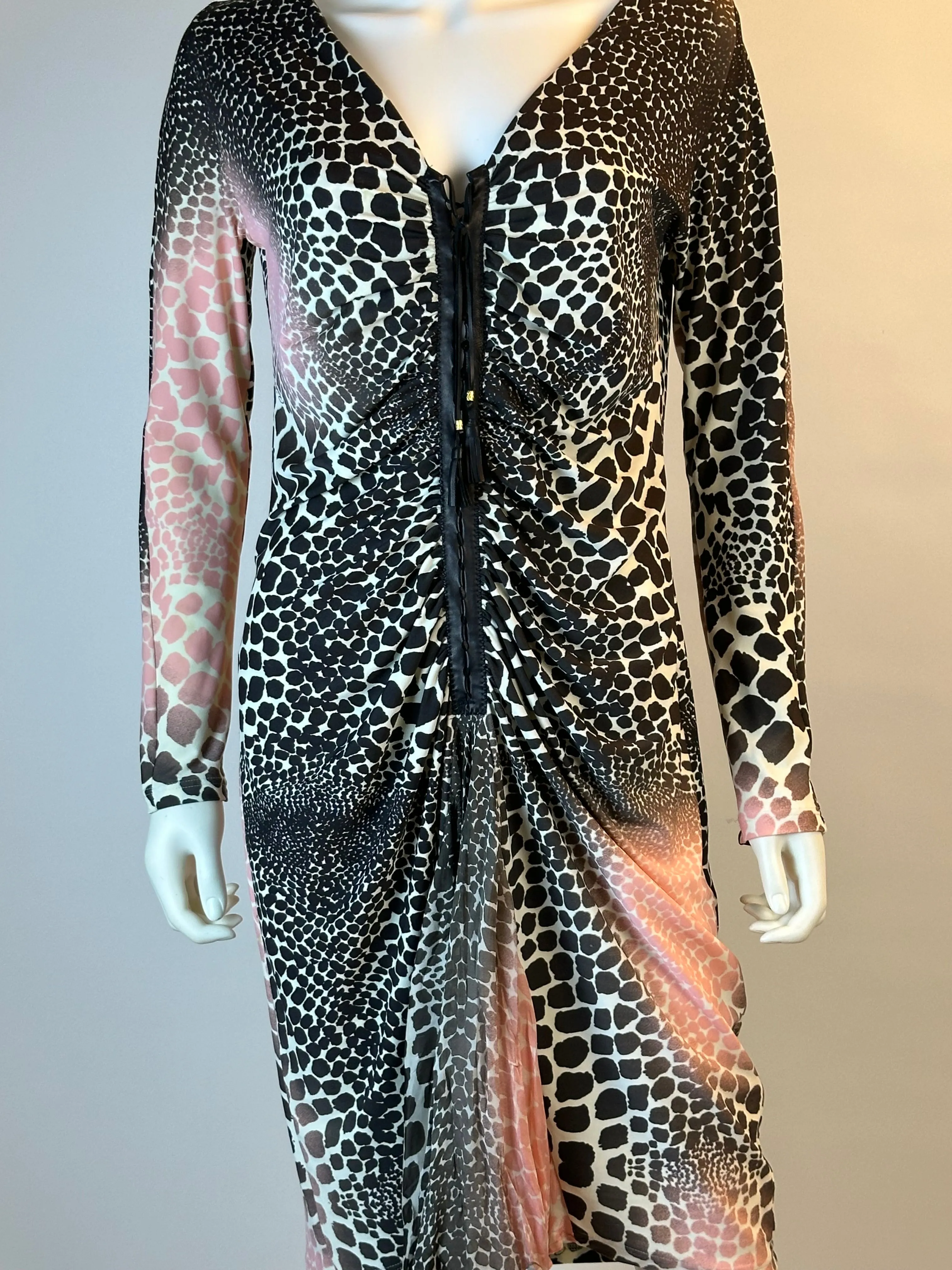 Roberto Cavalli SS 2004 Printed Dress