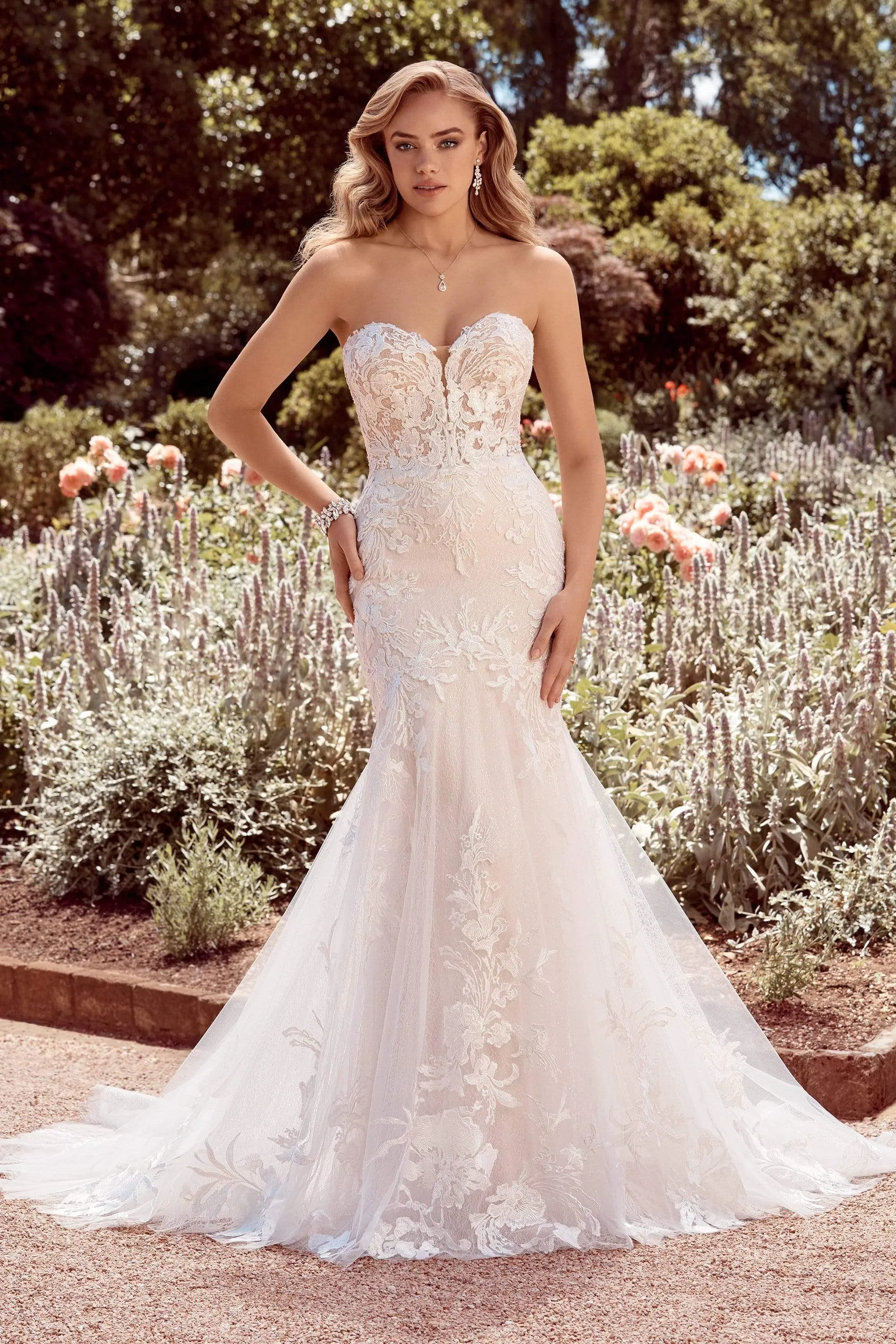 Sophia Tolli: Y22176 - Michaela