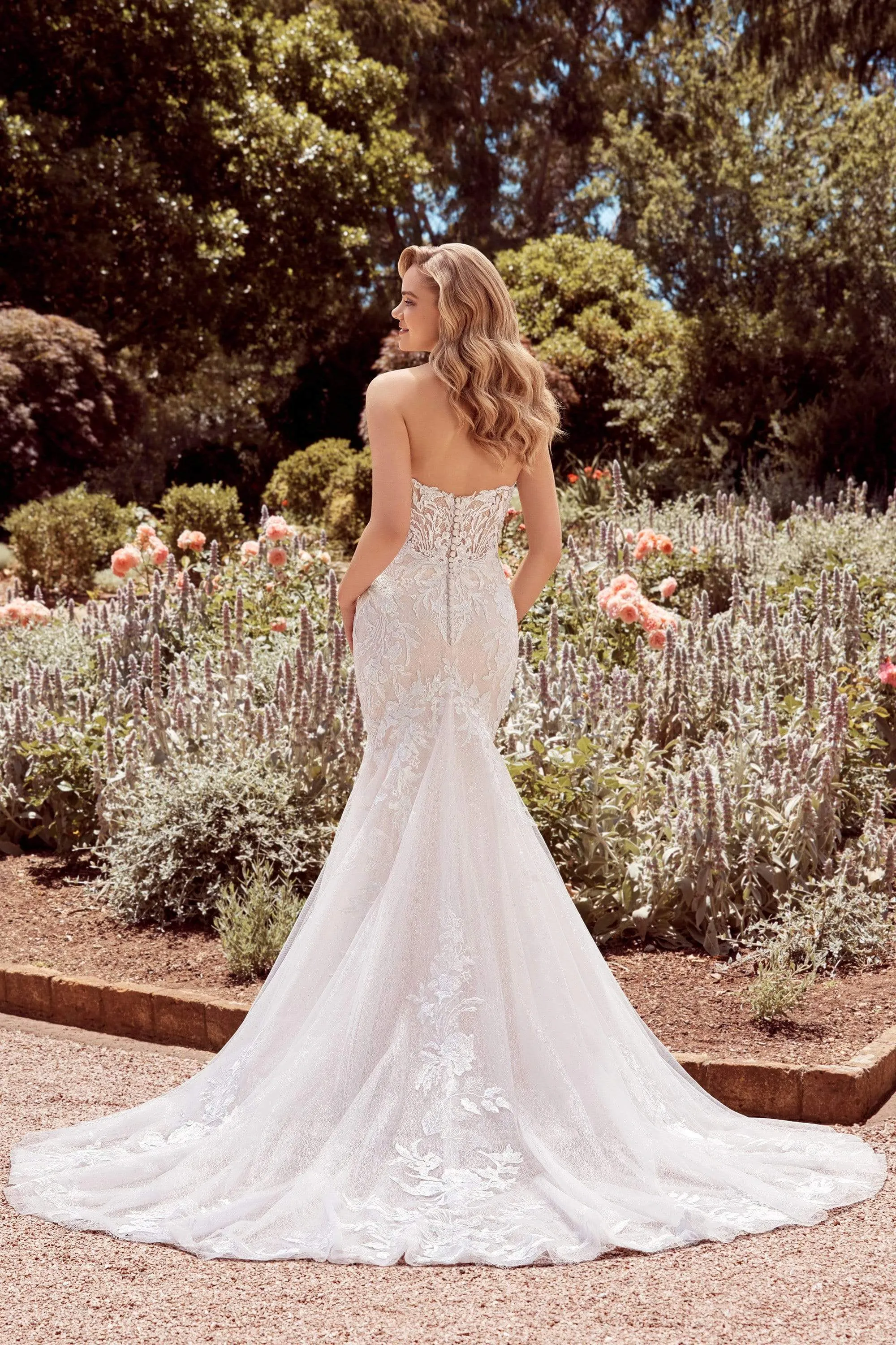 Sophia Tolli: Y22176 - Michaela