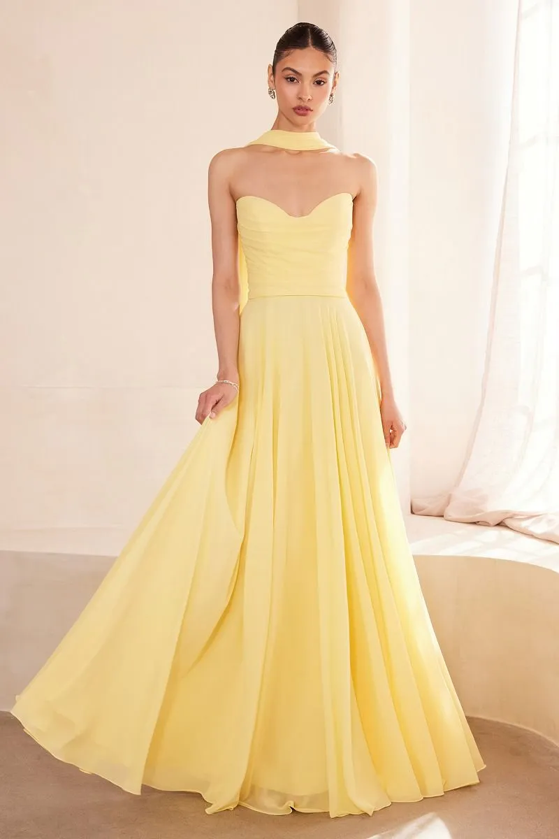 T703 CINDERELLA DIVINE