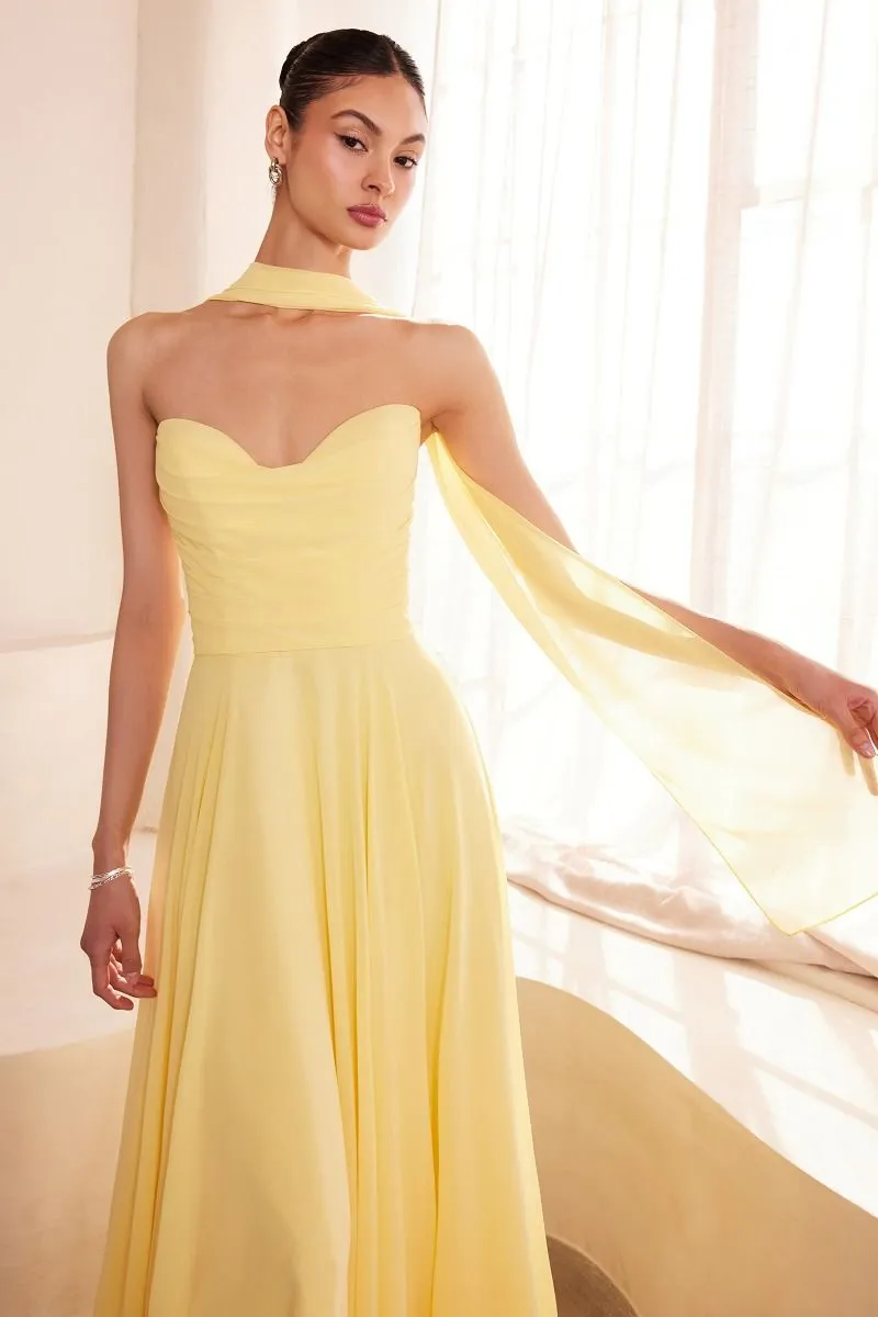 T703 CINDERELLA DIVINE