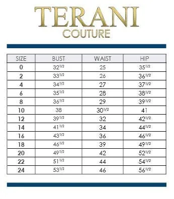 Terani Couture 251M4423 Dress