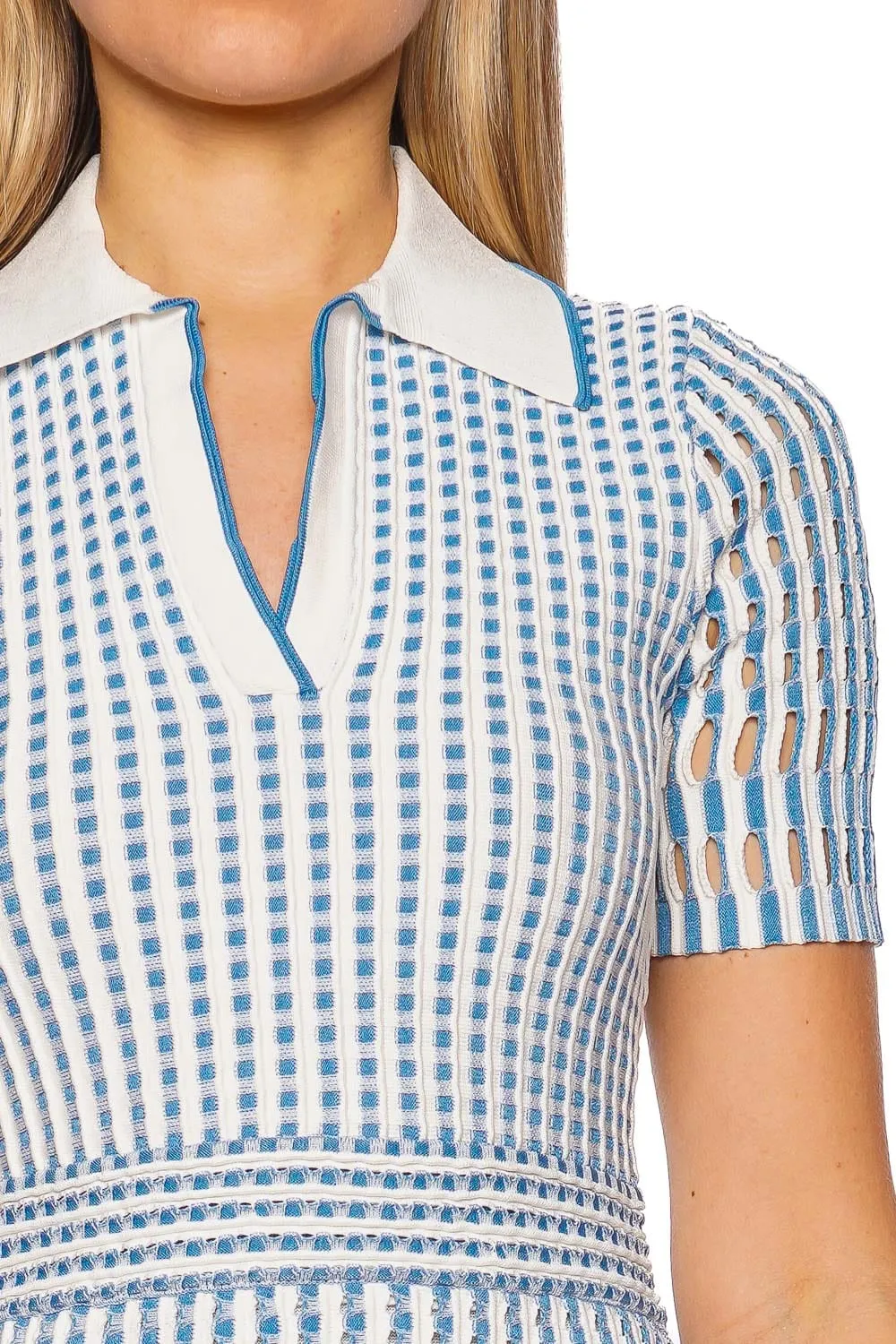 Tovi Gingham Knit Polo Mini Dress
