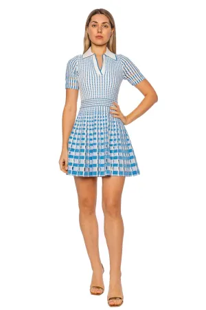 Tovi Gingham Knit Polo Mini Dress