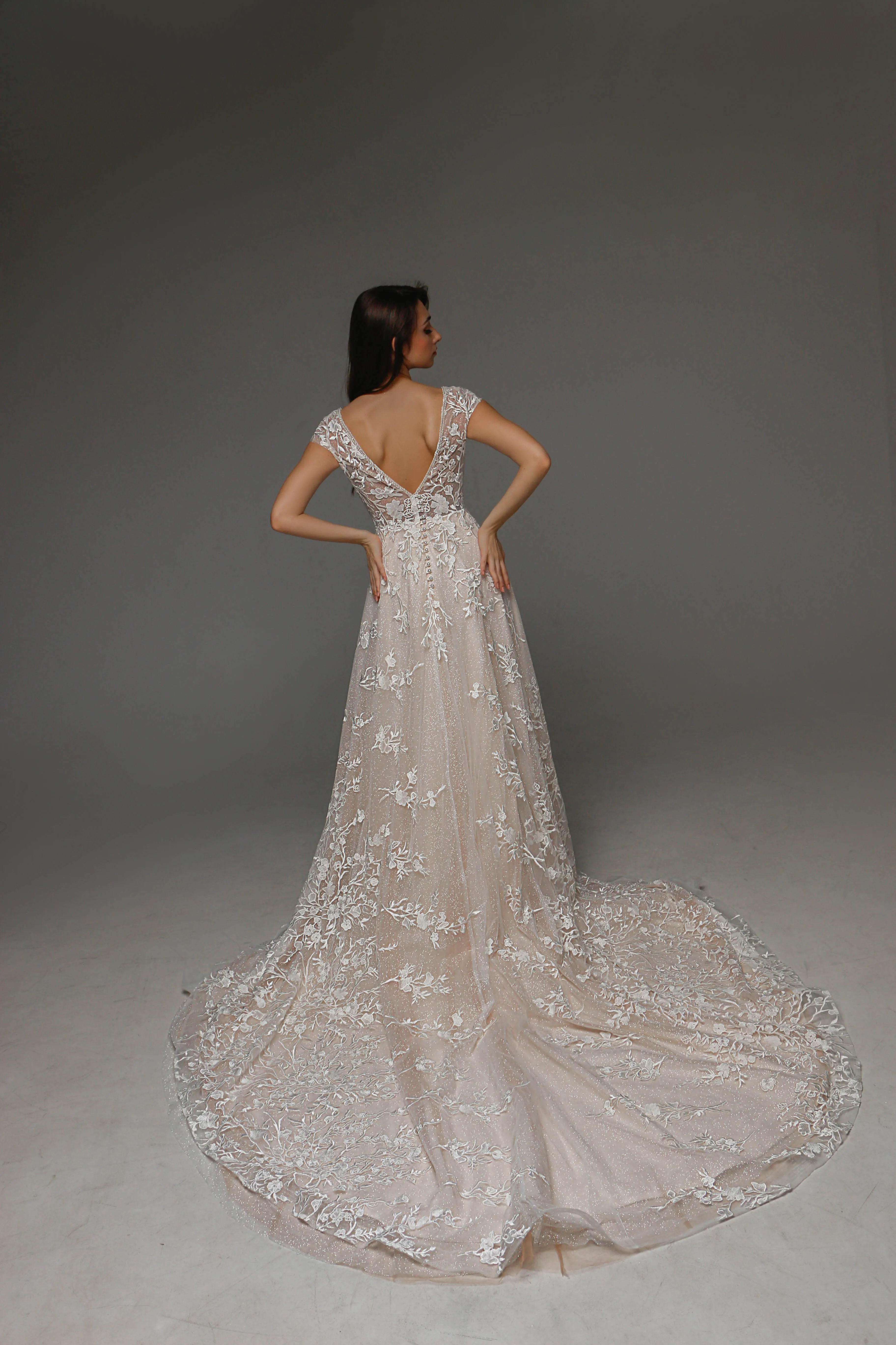 V0109, Lace Wedding Dress, Short Sleeved Wedding Dress