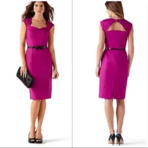 WHBM | NWT Very Berry Perfect Form Sheath Dress | Size 8