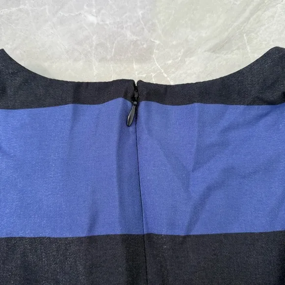 Women’s Banana Republic Shimmer Stripe Sleeveless Sheath Dress Size 6 Pockets