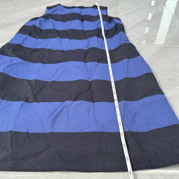 Women’s Banana Republic Shimmer Stripe Sleeveless Sheath Dress Size 6 Pockets