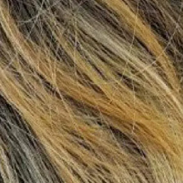 Zury Sis Beyond Synthetic Hair Lace Front Wig - BYD LACE H CHILL