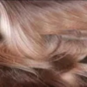 Zury Sis Synthetic Hair HD Lace Frontal Wig - BYD FRONTAL LACE H HARDY